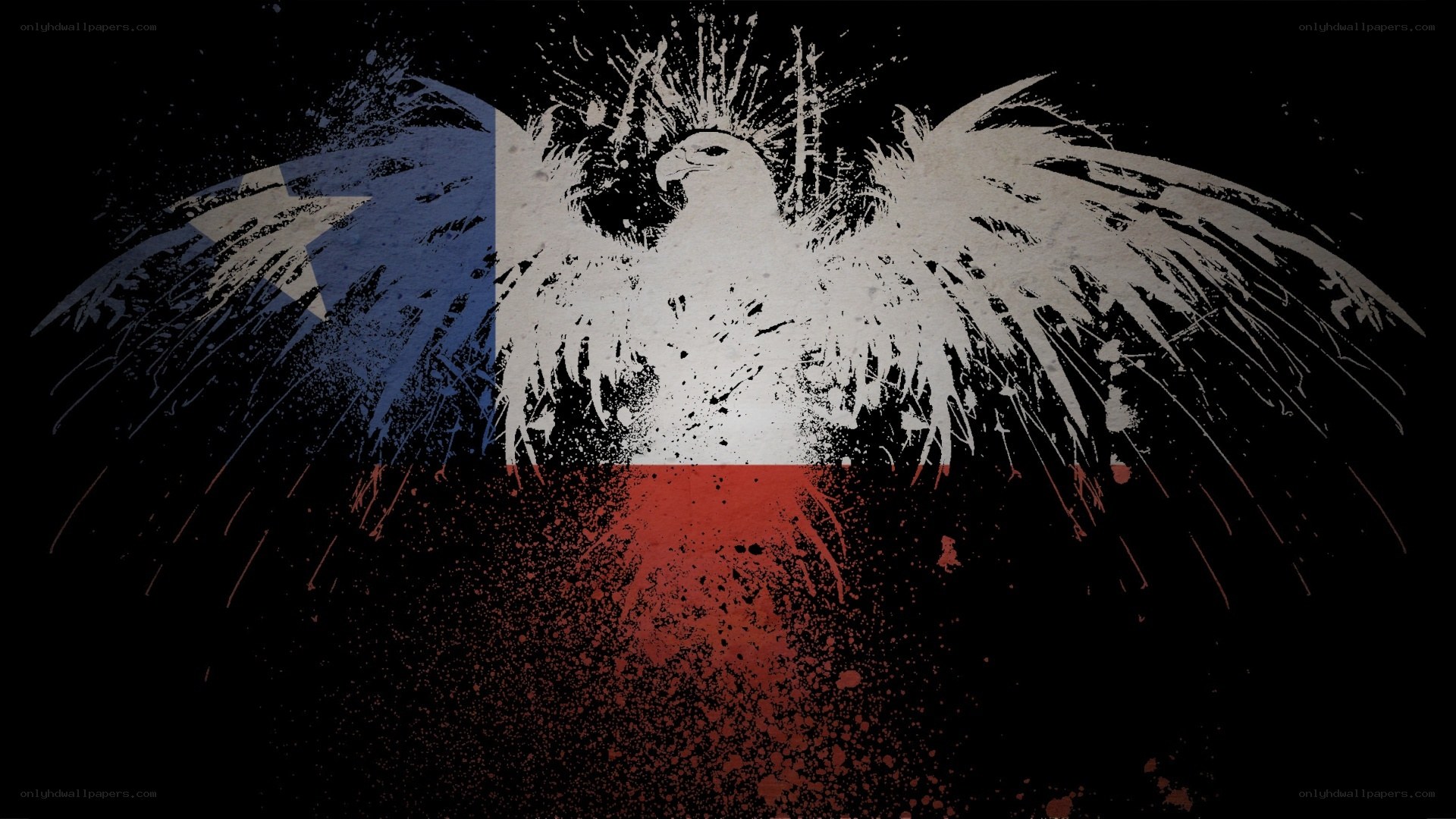 Texas flag with eagle design