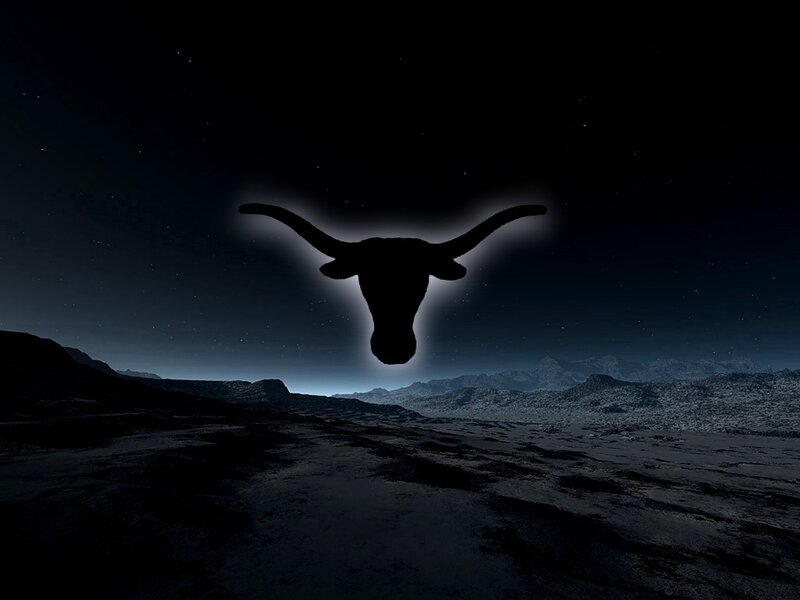 Texas Longhorn silhouette at night