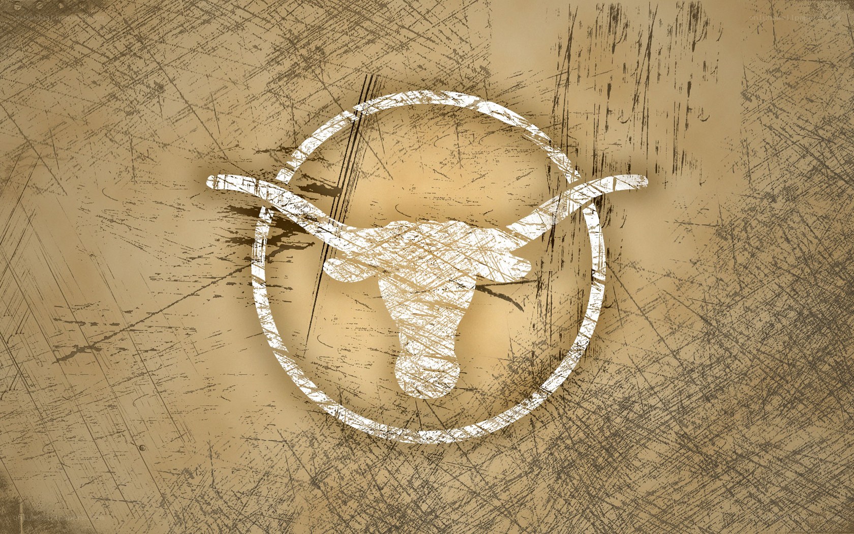 Texas Longhorns logo on distressed background