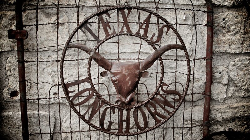 Texas Longhorns metal sign