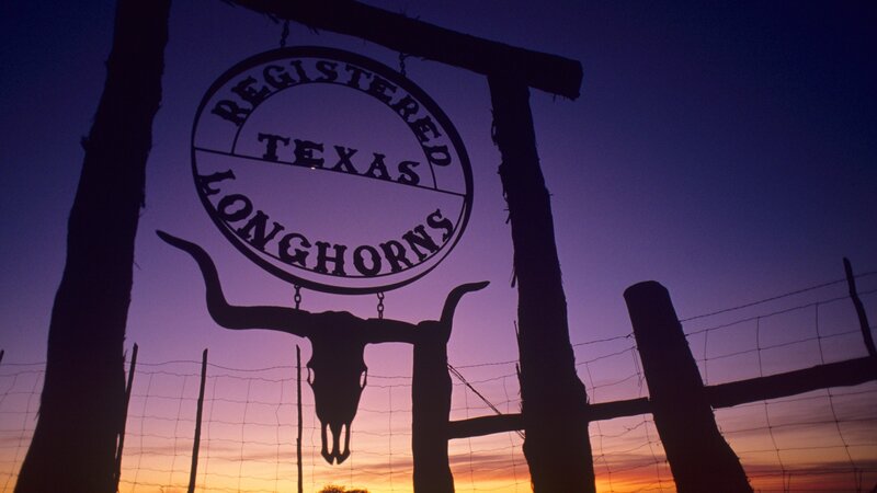 Texas Longhorns sign at dusk