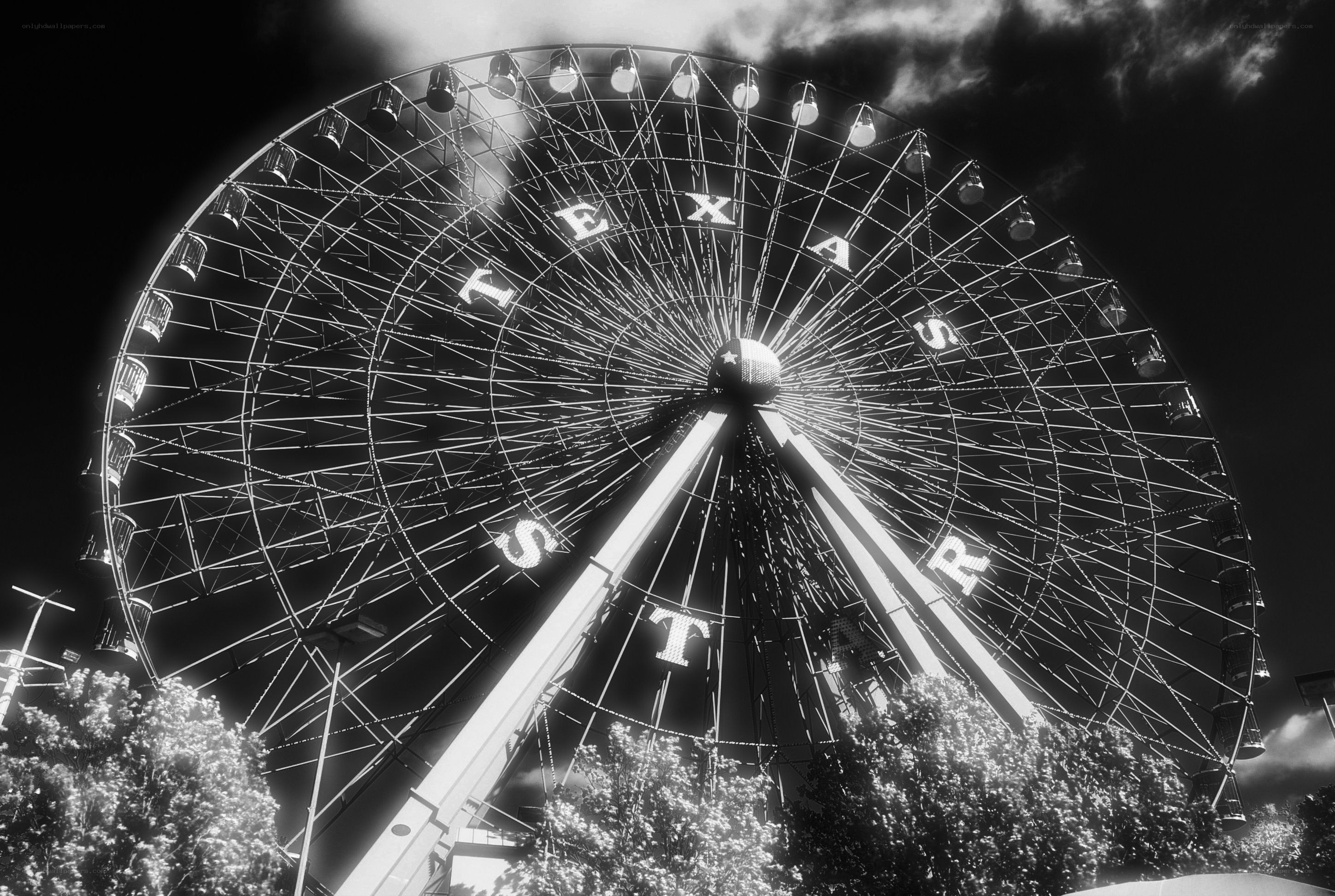 Texas Star Ferris Wheel
