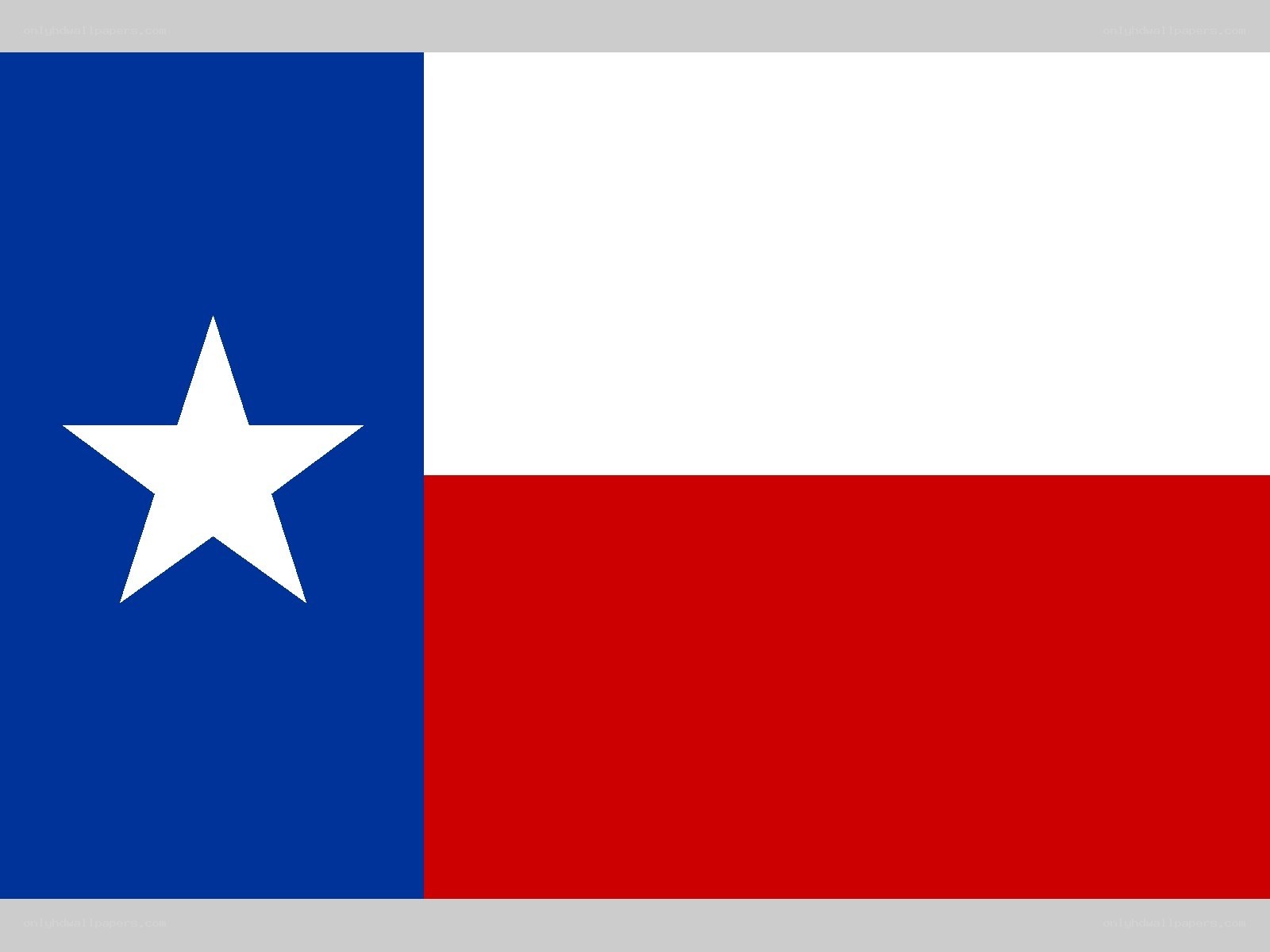 Texas state flag