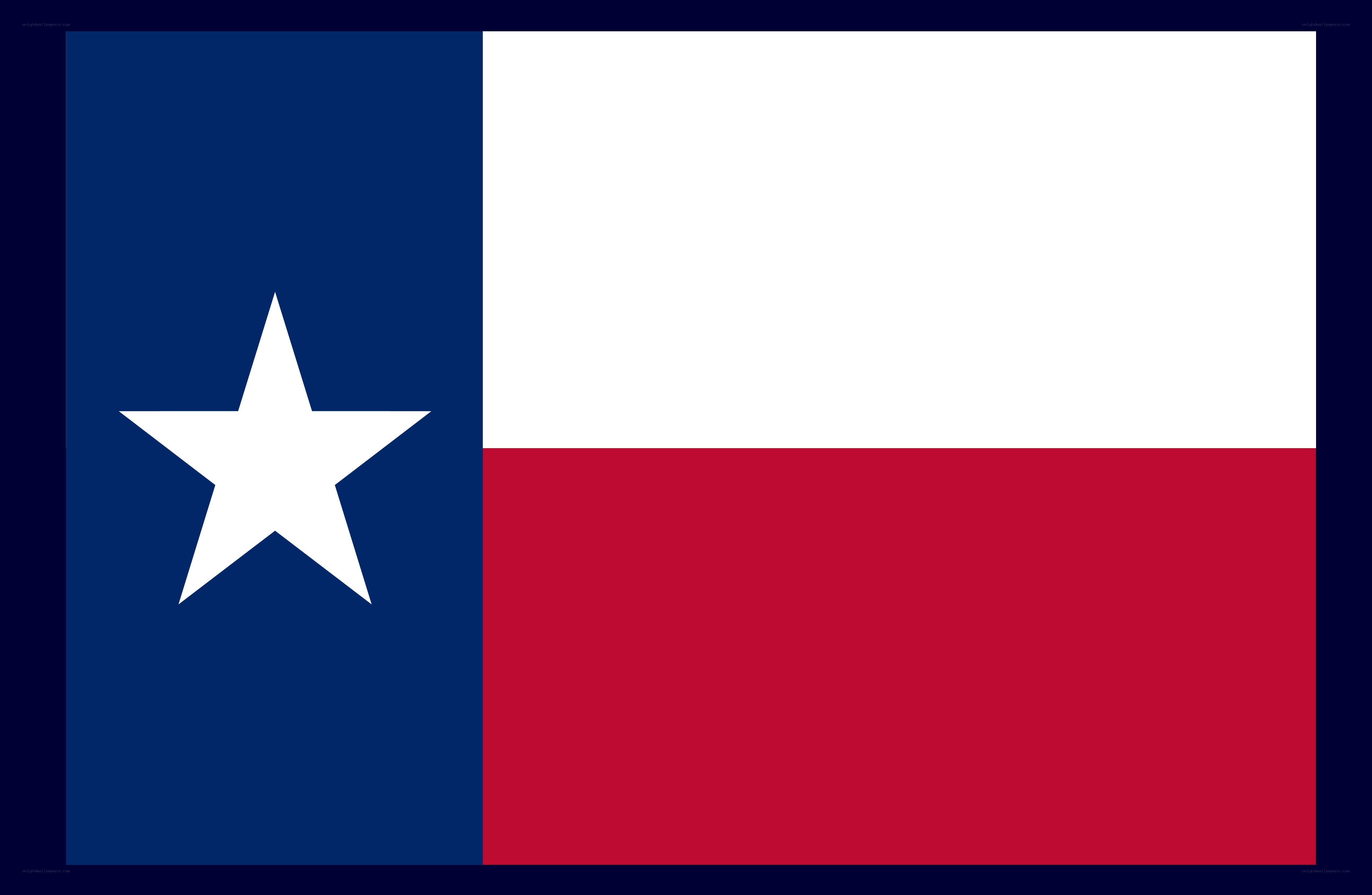Texas state flag