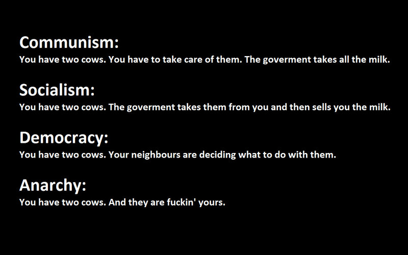 Text About Political Systems