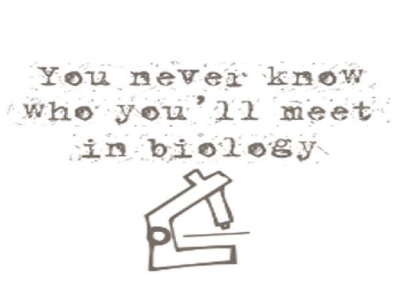 Text and Microscope Drawing