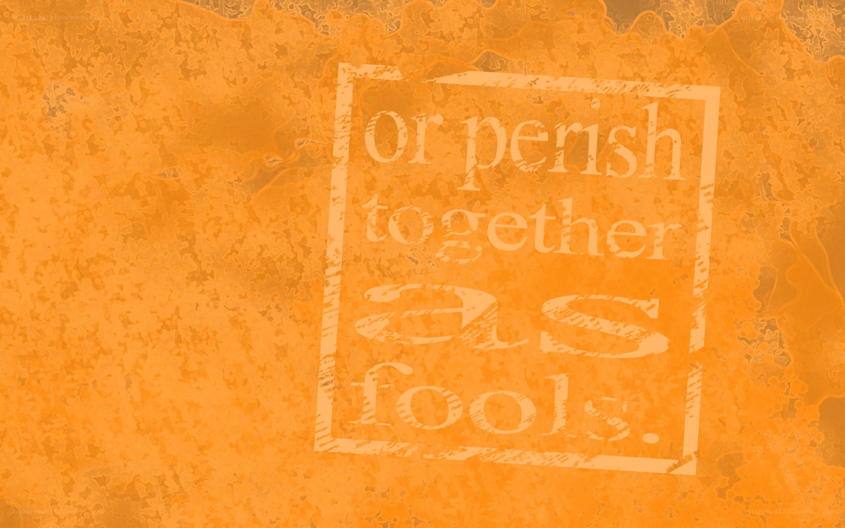 text in a box on orange background