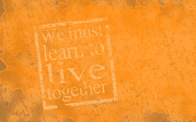 Text in a Box — Orange, Thoughtful