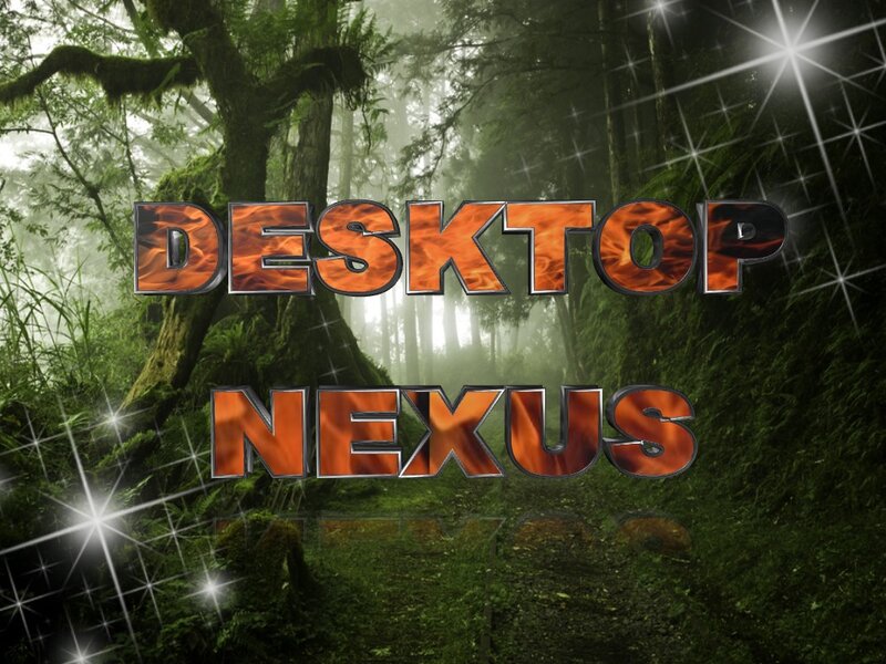 Text in Forest