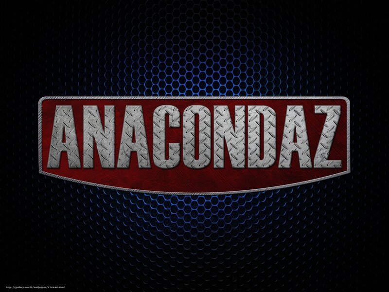 Text Logo on Mesh Background