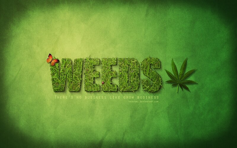 Text Made of Grass