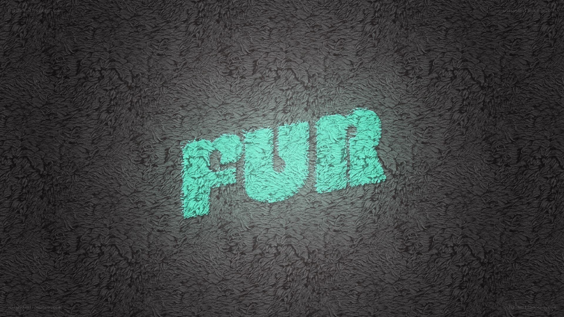 text on a furry surface