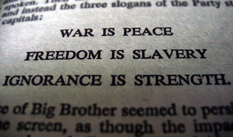 Text on a Page — Black, Dramatic, Photograph, Book