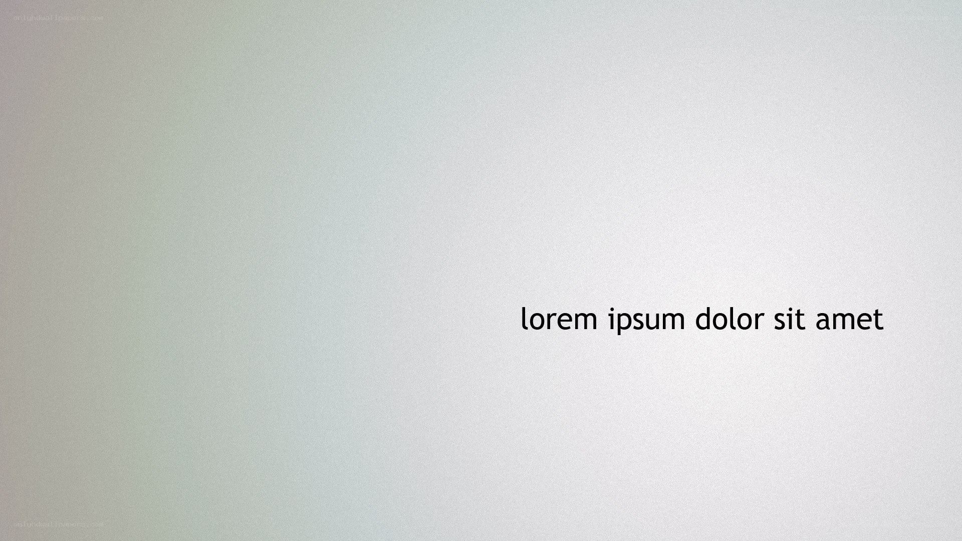 text on a plain background