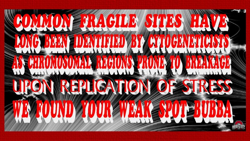Text on a Red Border
