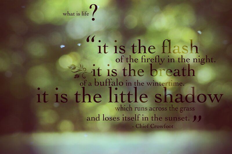 Text on Blurred Background — Green