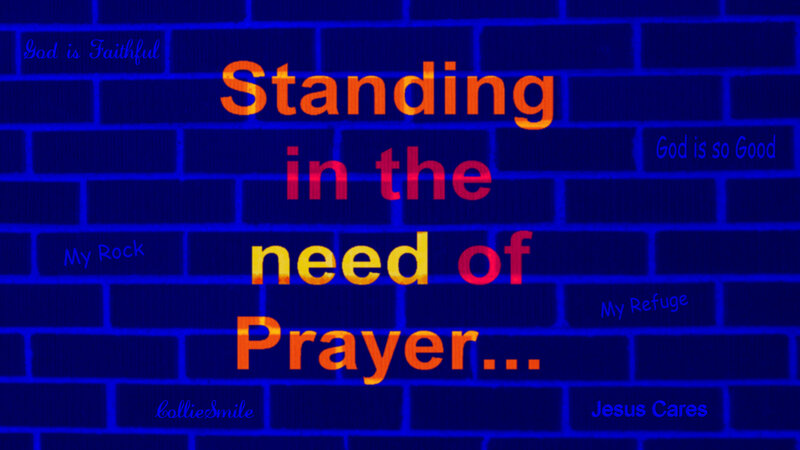 Text on Brick Wall — Blue, Inspirational