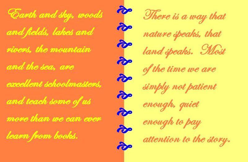 Text on Colored Background — Orange