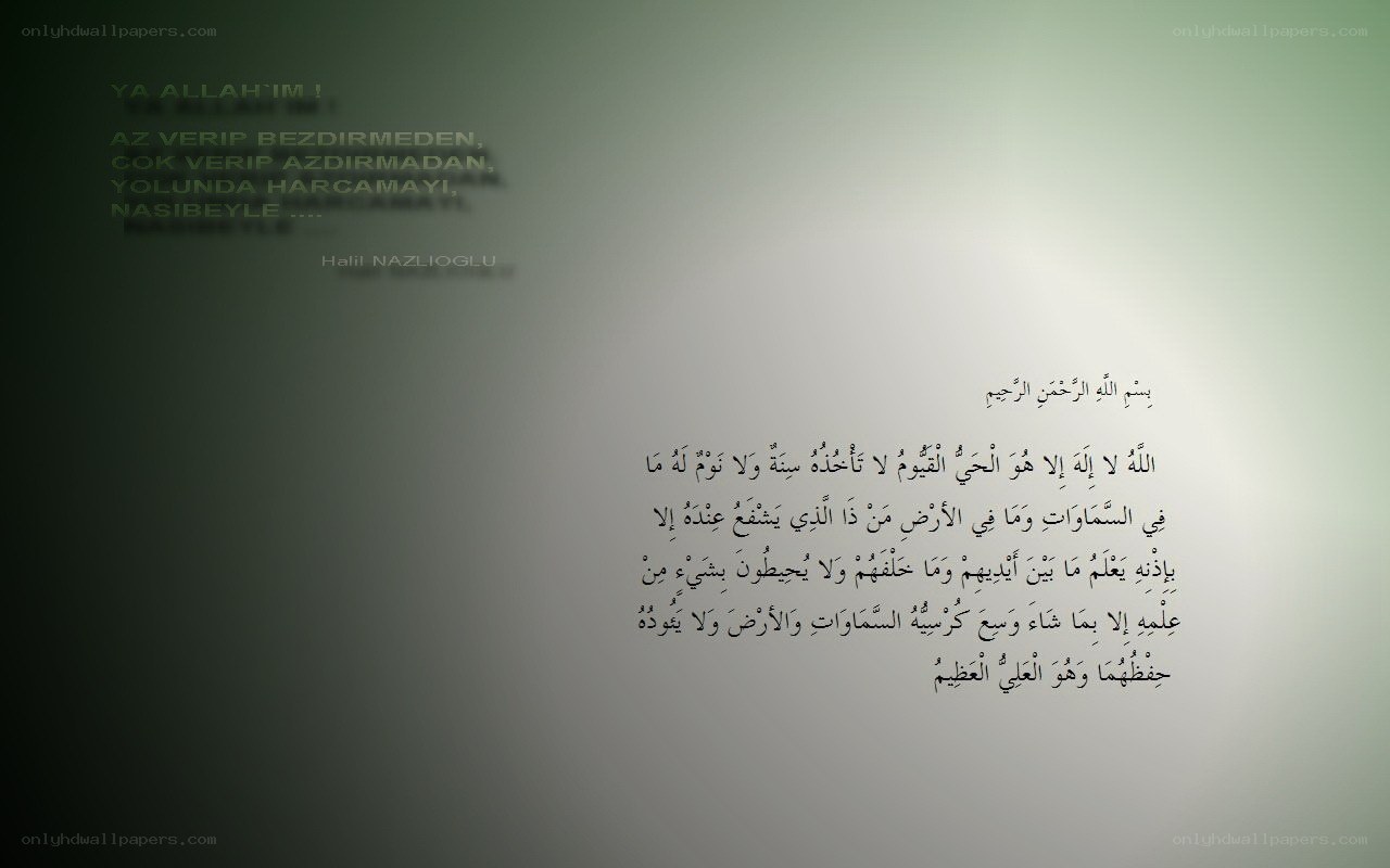 text on green background