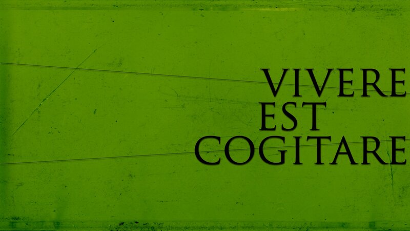 Text on Green Background — Serious, Minimalist, Vivere Est Cogitare