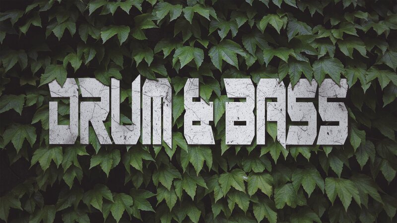 Text on Ivy Wall