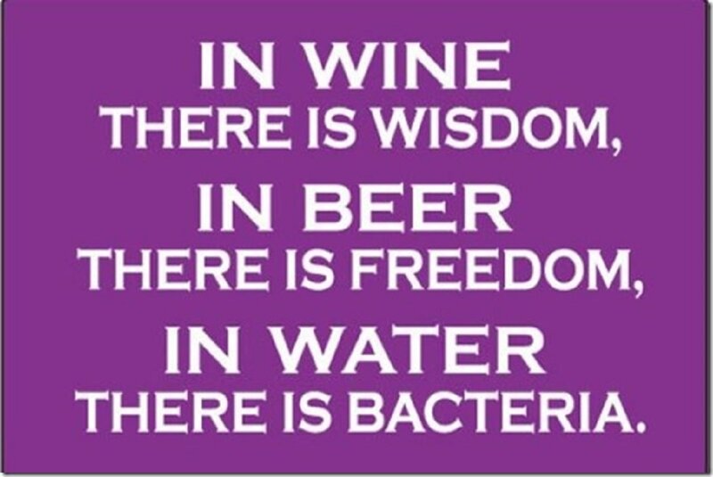 Text on Purple Background — Humorous