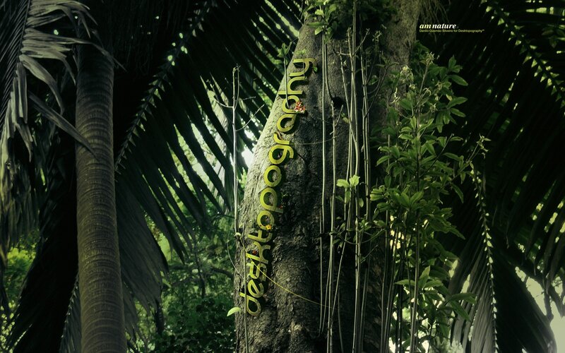 text on tree in jungle