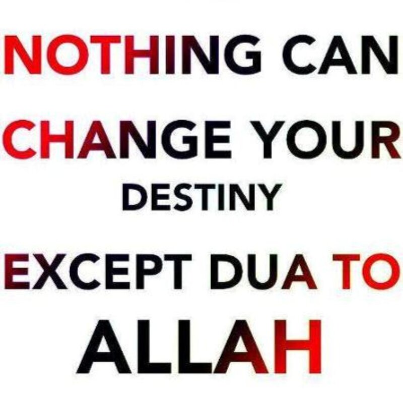 Text on White Background — Red, Inspirational