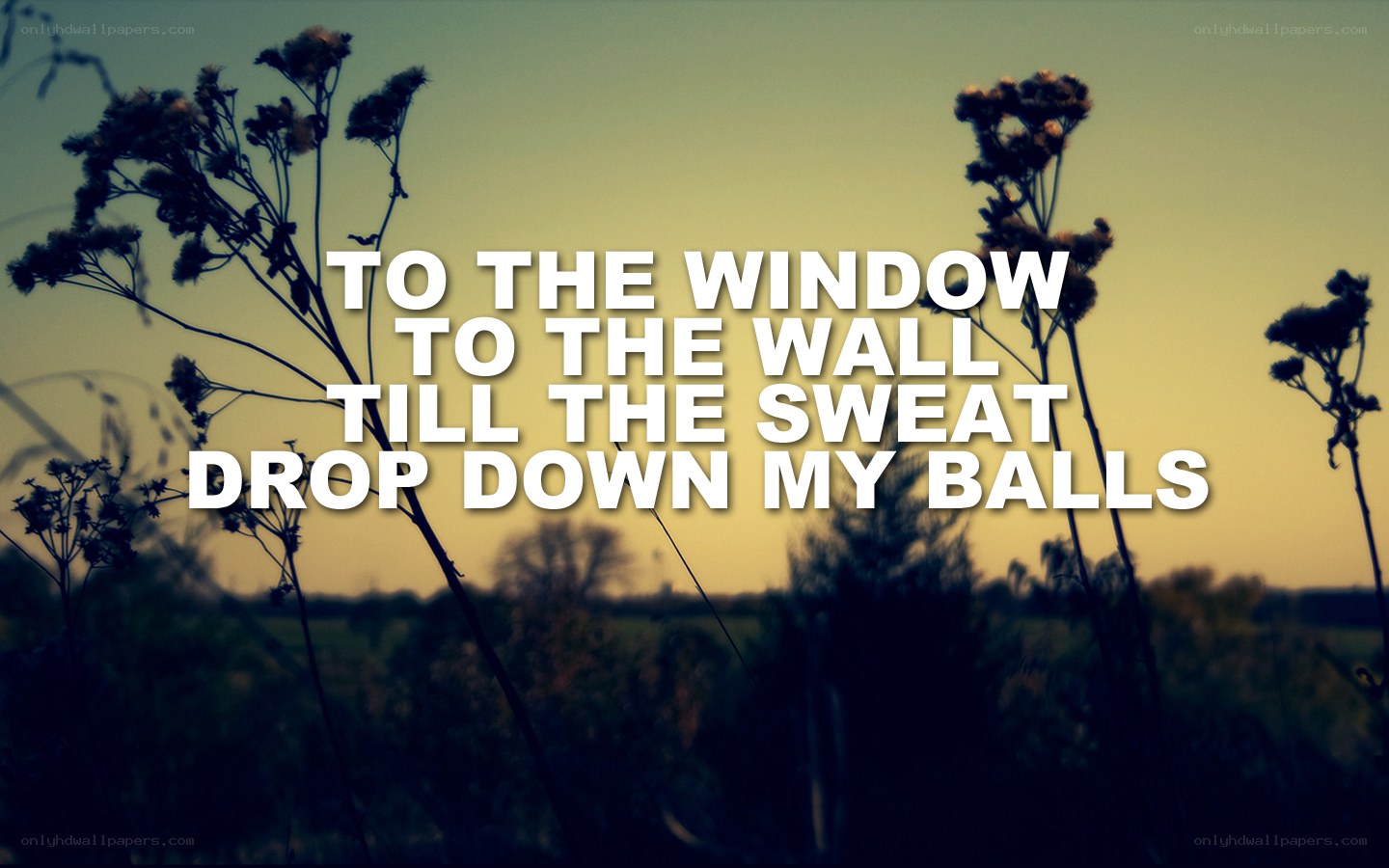 text over nature background