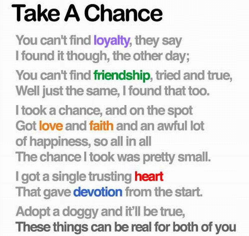 Text Poem on White