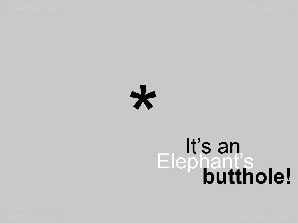 text with asterisk and elephant butthole