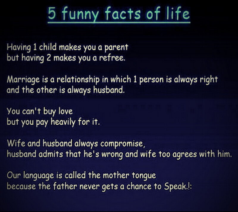 Text with Funny Facts
