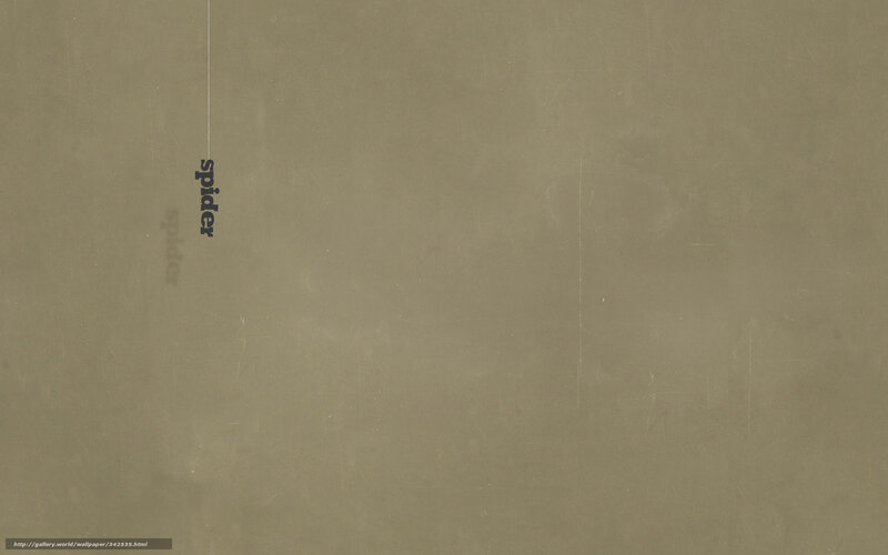 textured background with spider text