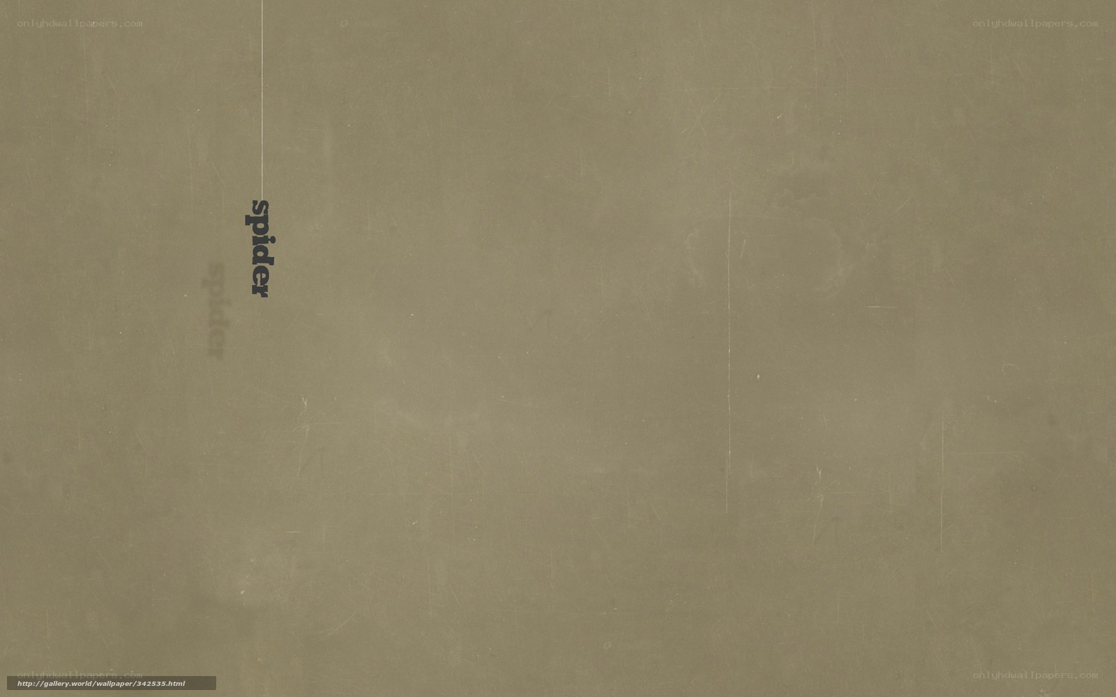 textured background with spider text