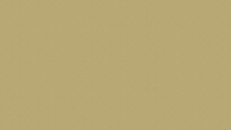 Textured Beige Surface — Neutral