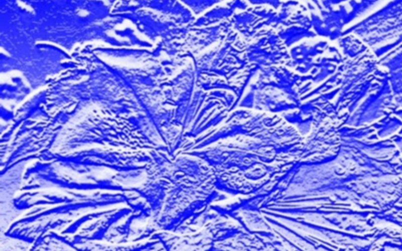 Textured Blue Surface — Neutral