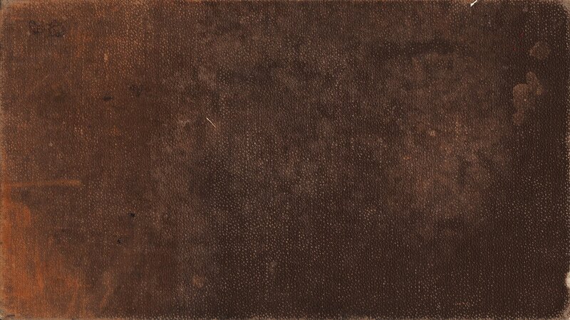 textured brown canvas surface