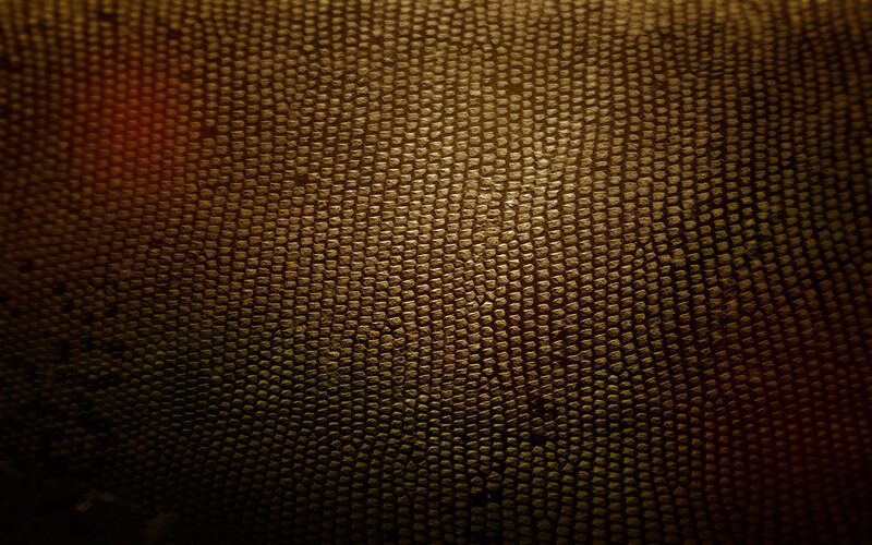Textured Brown Surface — Dramatic, Photograph