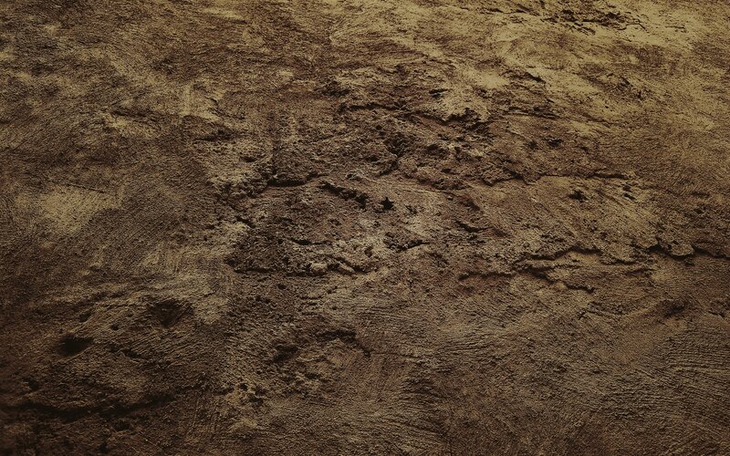 Textured Brown Surface — Neutral, Photograph
