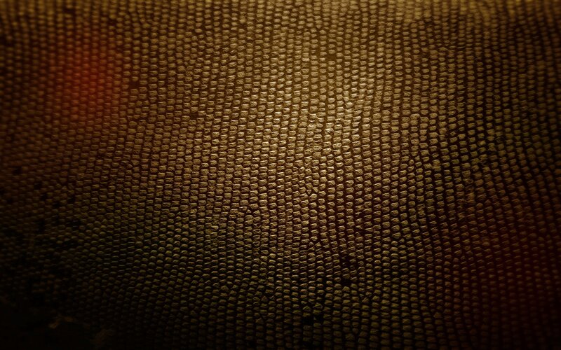 textured brown surface