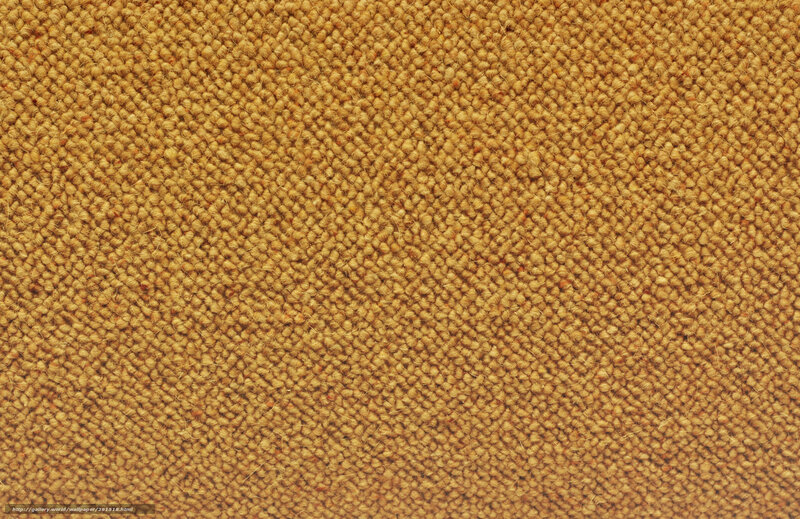 textured carpet surface
