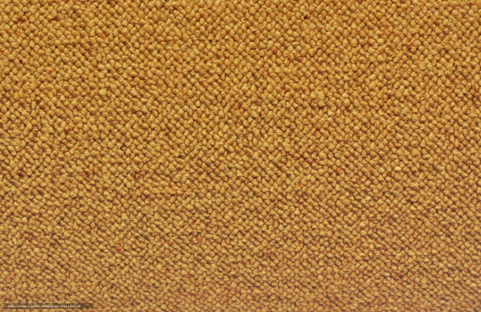 textured carpet surface