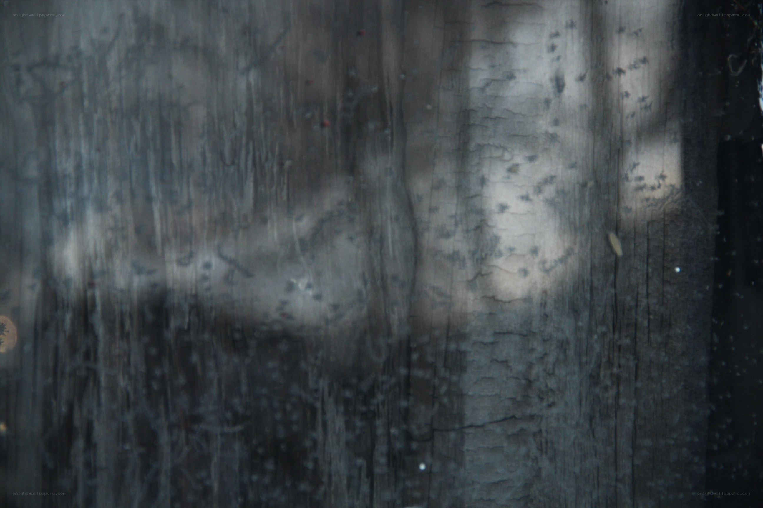 textured dark surface