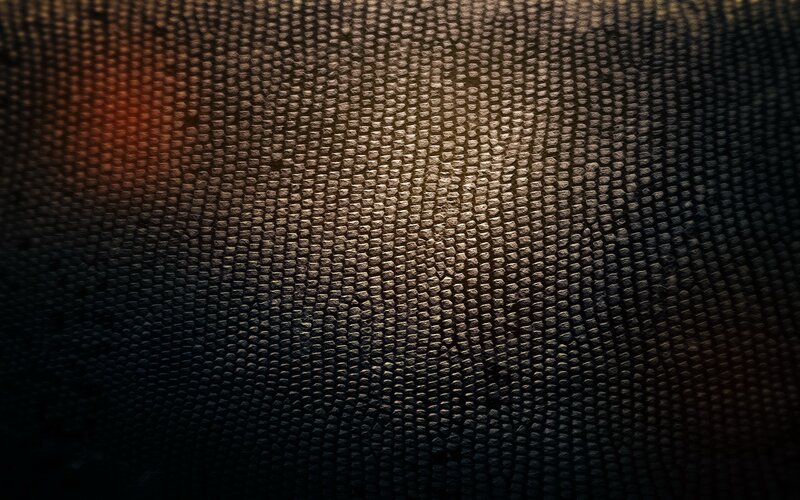 textured dark surface