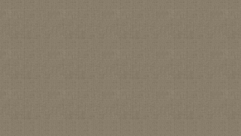 Textured Fabric Surface — Brown, Neutral