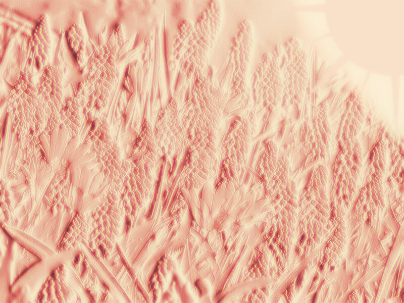 Textured Floral Pattern