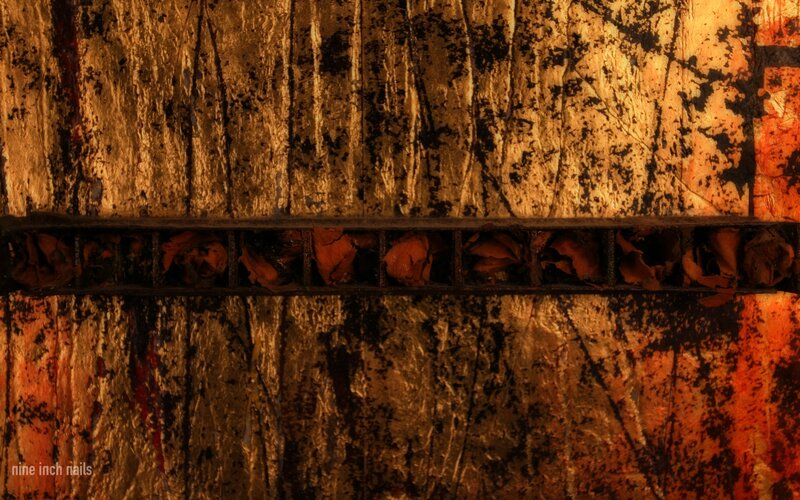 Textured Golden Wall