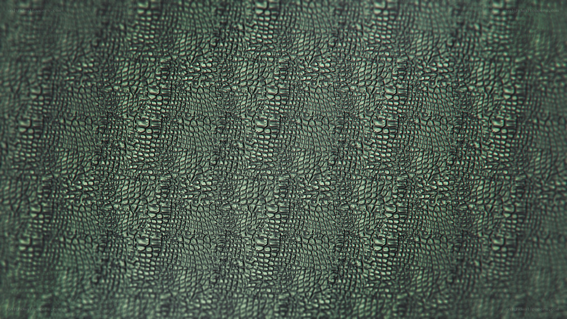 textured green surface pattern