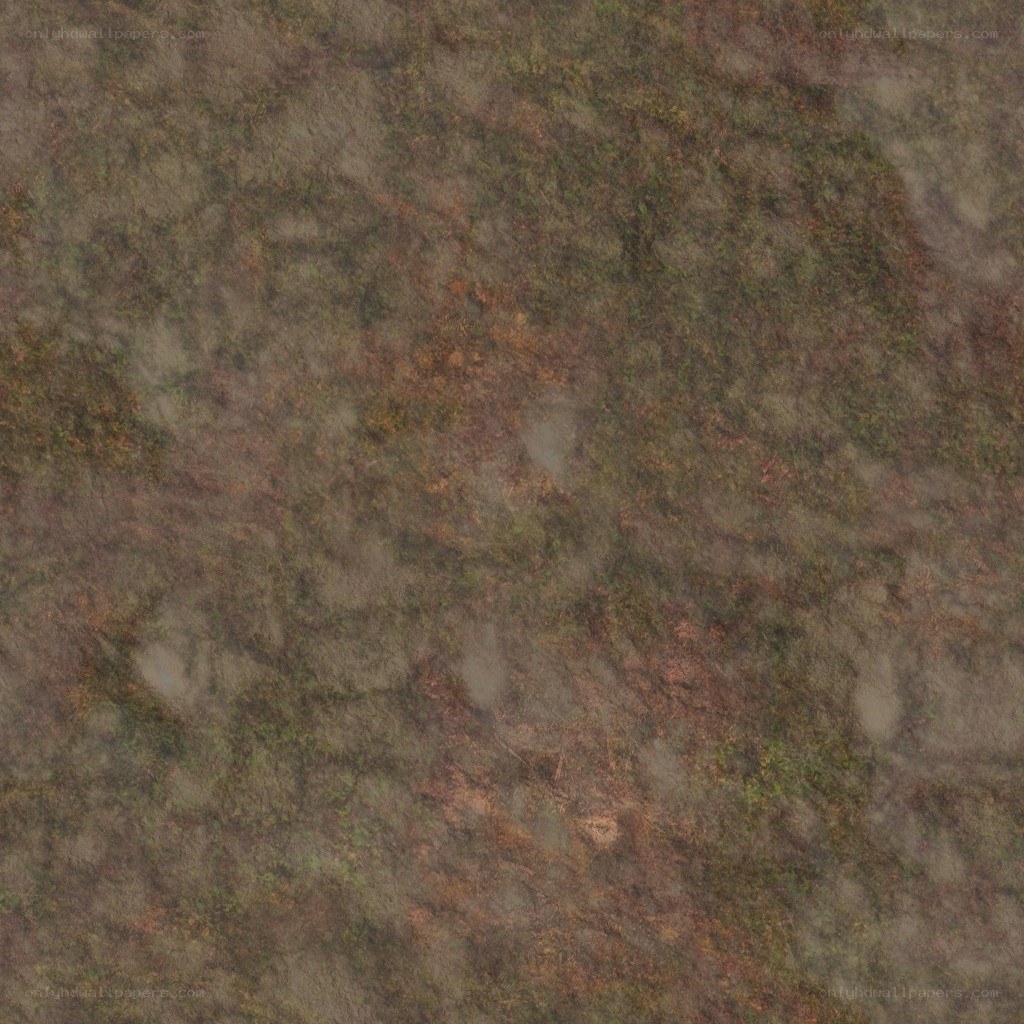 textured ground surface
