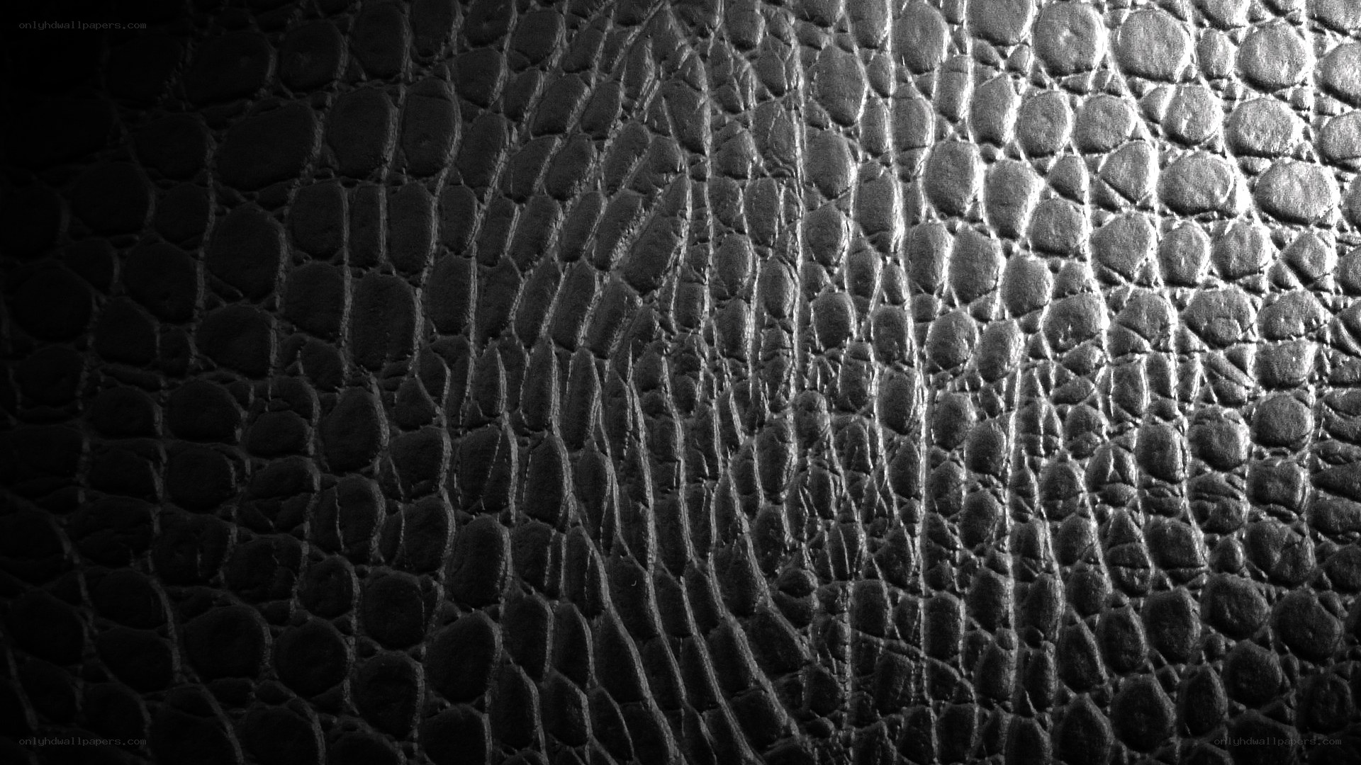 textured leather surface
